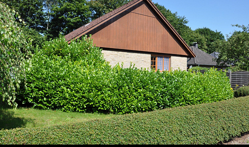 Einfamilienhaus auf der Westlichen Höhe