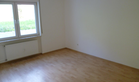 Schöne helle 3 Zimmerwohnung am Südhang in Ortenberg