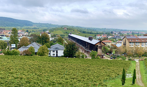 3-Zimmerwohnung mit Aufzug und traumhaftem Blick