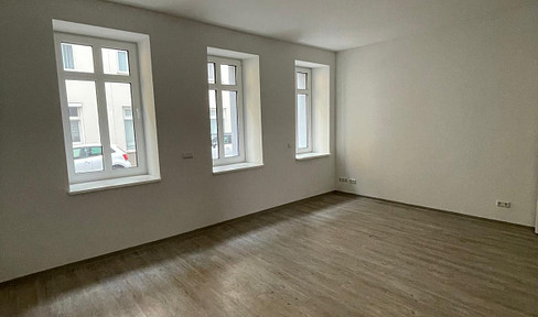 Friendly 3- and 4-room apartment with upscale interior in Magdeburg