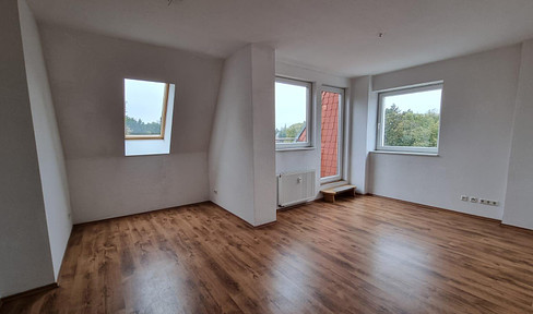 Moderne Dachgeschosswohnung mit Charme in Stadtfeld - Diesdorf