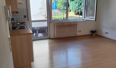 Bright 2-room first floor apartment with spacious terrace in Aichhalden