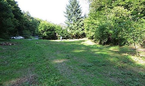 Waldesch, building land on 2432m² plot, total 8326m², quiet, brook, outskirts, forest, unobstructable, ...