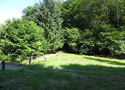 Waldesch 880m² building land on 2432m² parcel, total 8326m², edge of village, forest, stream, unobstructable