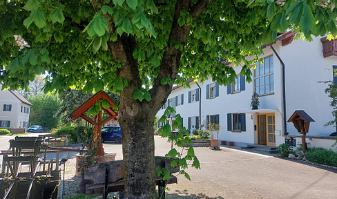 3.5 Zimmer Wohnung komplett Saniert  in Scheuring