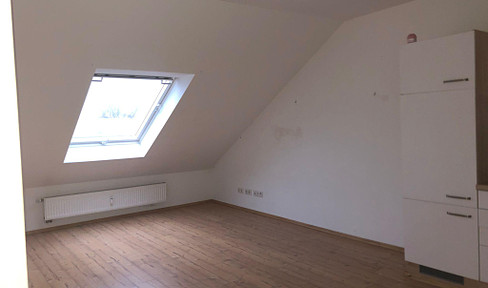 Cozy attic apartment near the zoo