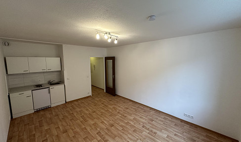 1 Zimmer Wohnung mit Einbauküche im Nibelungenviertel