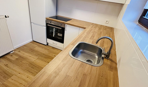 Refurbished 1-bedroom apartment with new bathroom and fitted kitchen in Löwenstein