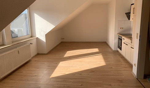 Refurbished 1-room apartment in Schölerberg