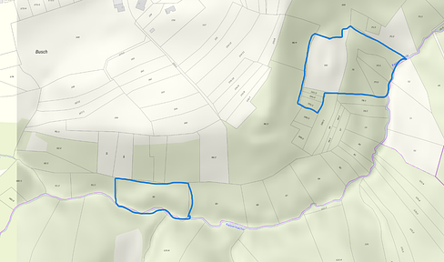 Forest 1.5 ha near Wüstenrot