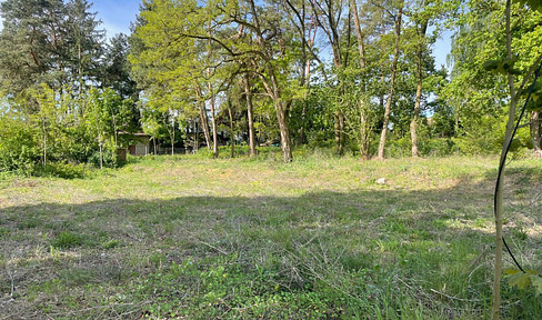 Free of commission: Divisible plot with field view