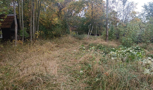 Gartengrundstück an der Bracke / Hohewartstraße / Feuerbach