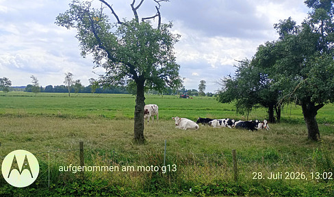 Wo Fuchs und Hase sich Gute Nacht sagen: EG Wohnung mit großem Garten