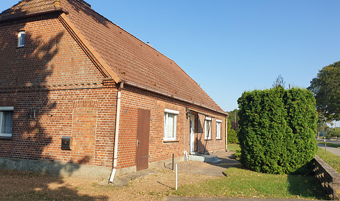 Farmhouse close to town with approx. 4000m² plot, double garage near Pinnow Schwerin detached house