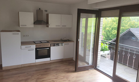 Modern 2-room apartment with fitted kitchen and parking space in Horn-Bad Meinberg - immediately