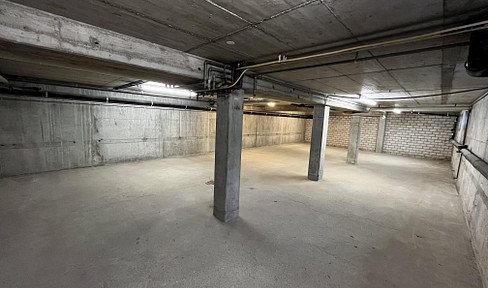 Warehouse / storage room / archive / storage space