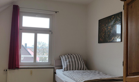 Furnished 1-room all-inclusive apartment WLan+parking+food+laundry in Erfurt-Dittelstedt