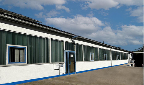 Commercial/warehouse building for rent free of commission in Neudenau-Herbolzheim