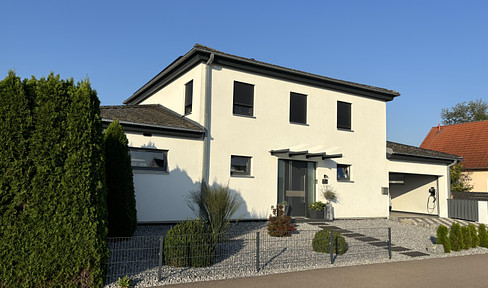 Modern detached house