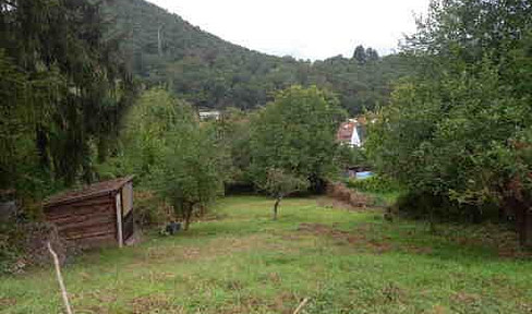 Bauplatz und Gartengrundstück in Bad Dürkheim