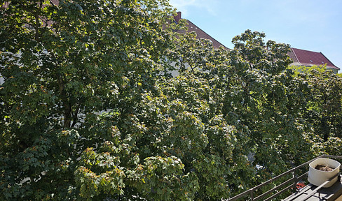 2 Zimmer Balkonwohnung in Wilmersdorf, Nähe Volkspark