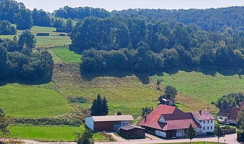 Kernsanierte Liegenschaft mit viel Potenzial