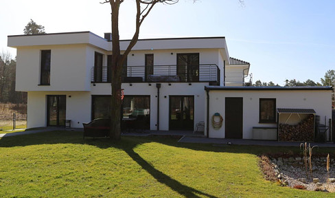 Modern Bauhaus on the edge of the forest