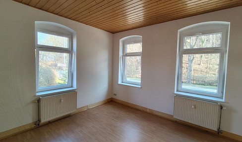 Ansprechende 2- Raum Wohnung Erdgeschoß Pirna