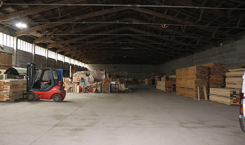 Large warehouse with attractive plot and meadow area in Wüstendittersdorf