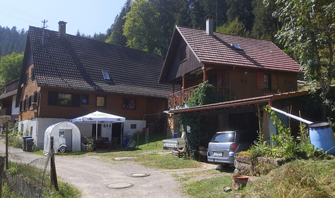 PROVISIONSFREI: Restbauernhof mit Bauernhaus + Ferienhaus + großes Grundstück