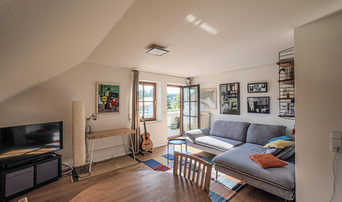 Cozy attic apartment