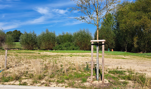 Traumhaftes Ferienhausgrundstück in Wohlenberg an der Ostsee