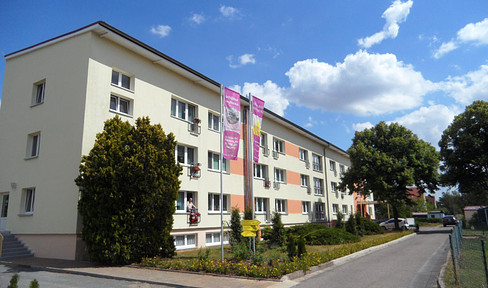 Eilenburg, beautiful assisted living, large green area, top services from the DRK