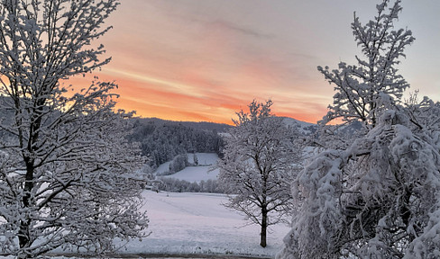 Private sale EFH with ELW in Oberstaufen-Weißach, 3.470 Euro / sqm living space !