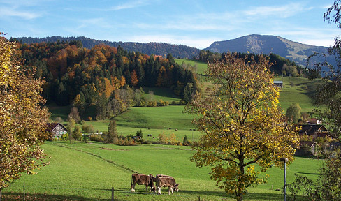 Private sale of a detached house in Oberstaufen-Weißach.
