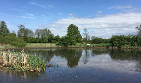 Great fish pond in a rural location