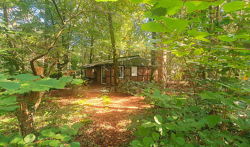 # DREAM BUILDING PLOT IN THE FOREST + SMALL HOUSE # CLOSE TO HAMBURG + WITHOUT COMMISSION #