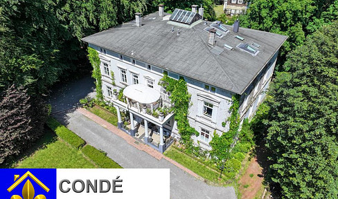 Classicist-style villa with large park for sale. Apartment house, villa in the park