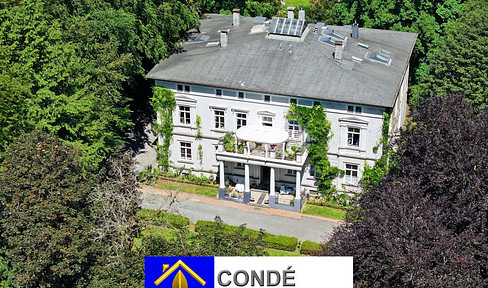 Classicist-style villa with large park for sale. Apartment house, villa in the park