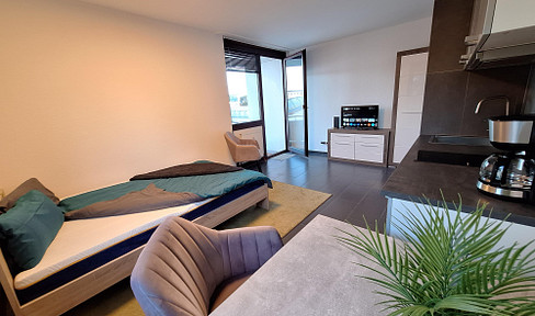 high-quality furnished apartment FREE FROM AUGUST 2025
