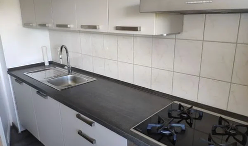 2 room apartment at the park/Silbersee with fitted kitchen, partly furnished