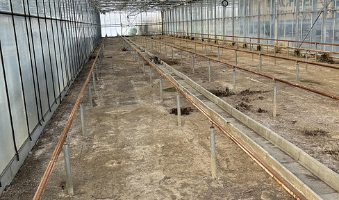 Greenhouse halls for rent from 1000m² in Schwerte