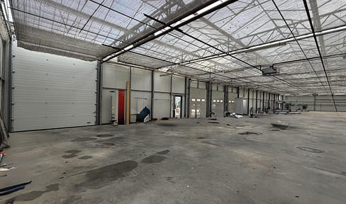 Greenhouse - warehouse approx. 1.500m² for rent