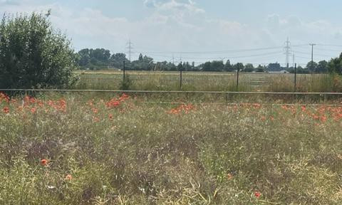 Grundstück mit weitem Blick in die Natur