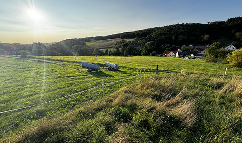 1A Baugrundstück Grundstück Panorama Aussicht in 67808 Ransweiler