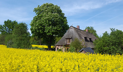 Thatched-roof cottage in absolutely secluded location with approx. 6,000 m² of land