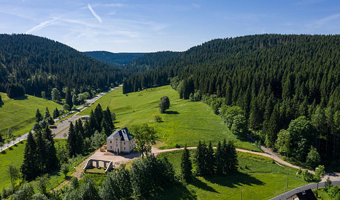 Schmuckstück! Alleinlage Villa im Erzgebirge