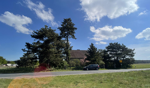 Detached house in the green suburbs of Berlin