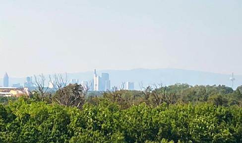 Penthouse am Ortseingang Heusenstamm + Waldrandlage + gepflegte Wohneinheit