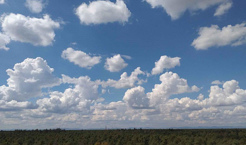 Belle vue: Großzügige 3Zi.-Whg. mit wunderschöner Aussicht (11.OG)